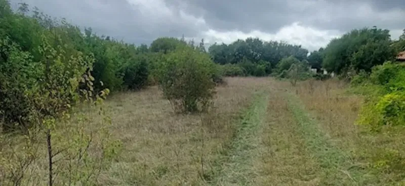 Land Nedešćina, Sveta Nedelja, 3.500m2 – 2
