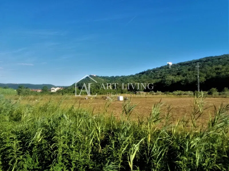 Buje-okolica, lepo kmetijsko zemljišče 5100 m2 – 2