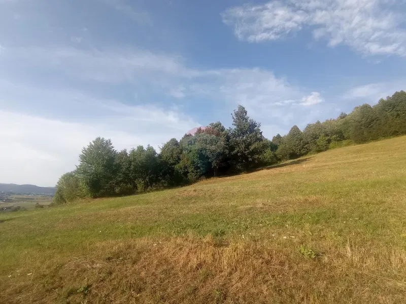 Telek Ribarići – 3