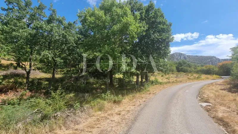 Telek Bribir – 2