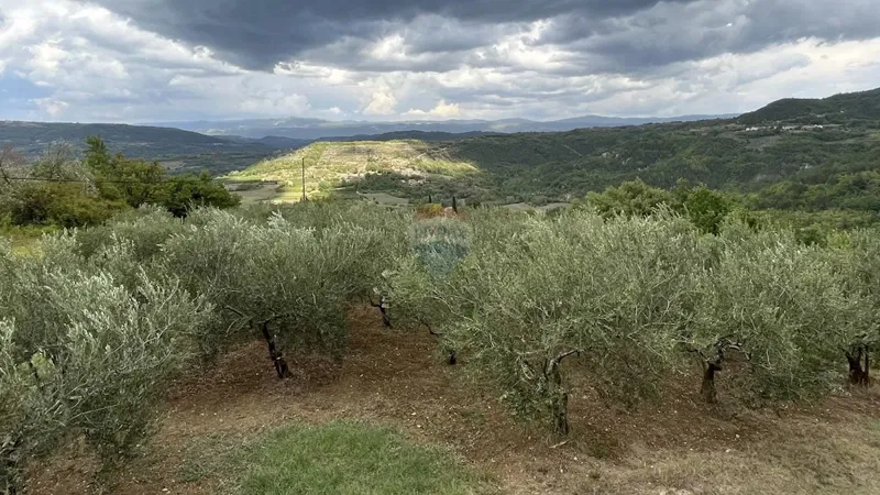 Земельный участок строительного назначения Kršikla, Pazin - Okolica, 1.747m2 – 2