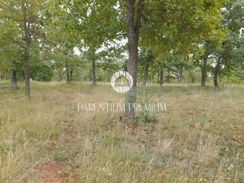 Attractive building land of 860 m² + 7,940 m² of agricultural land – 2
