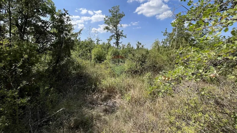 Terreno non edificabile Anžići, Višnjan, 5.629m2 – 2