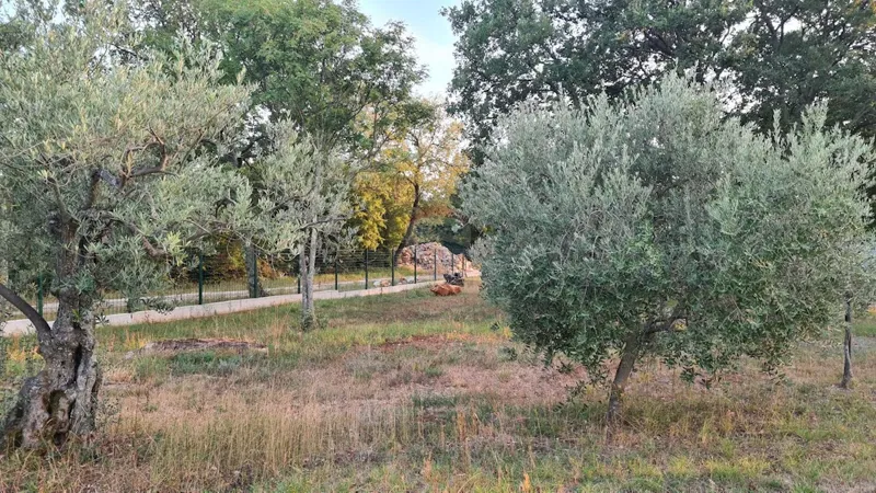 Земельный участок нестроительного назначения Poreč, 3.397m2 – 3