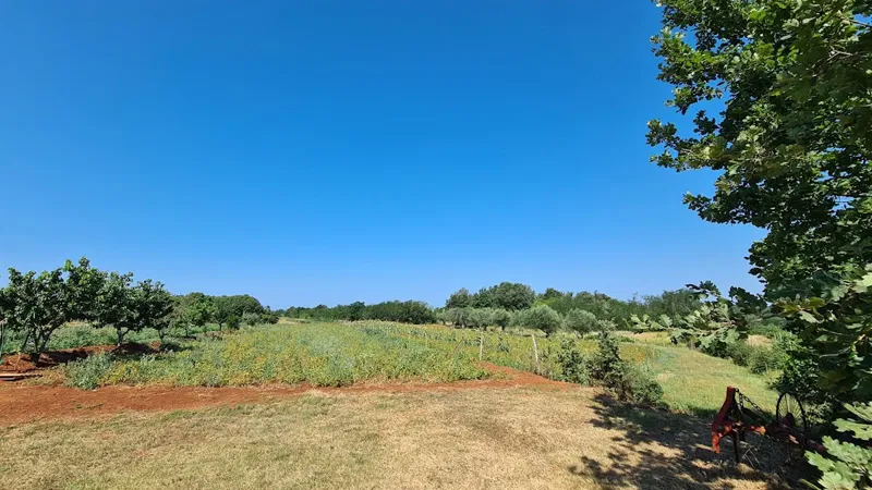 Real estate Istria, building land on sale, near Umag – 3