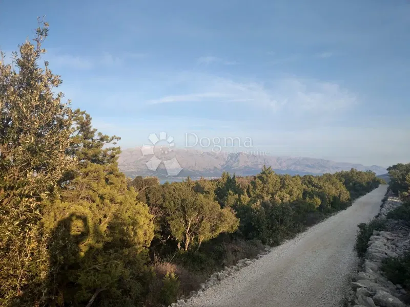 Land Pučišća, 6.300m2 – 3
