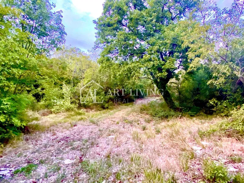 Umag-okolica, kmetijsko zemljišče na atraktivni lokaciji, 1150 m2 – 3