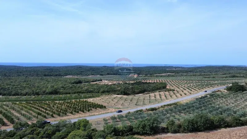 Terreno edificabile Bale, 11.815m2 – 2