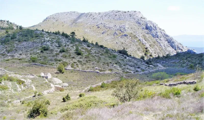 Hvar island - agricultural land of 107,000 m2 with a fantastic sea view – 3