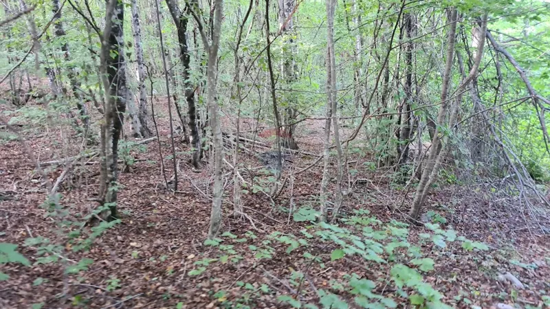 Terreno non edificabile Zvoneća, Matulji, 2.720m2 – 2