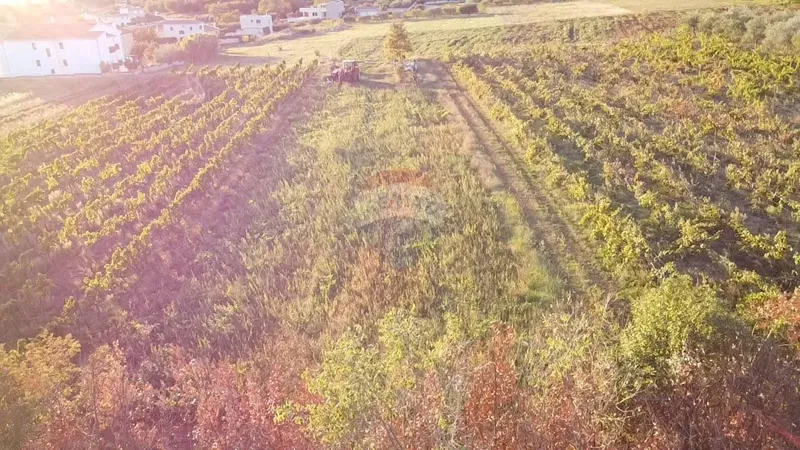 Земельный участок строительного назначения Kaštelir, Kaštelir-Labinci, 1.500m2 – 2