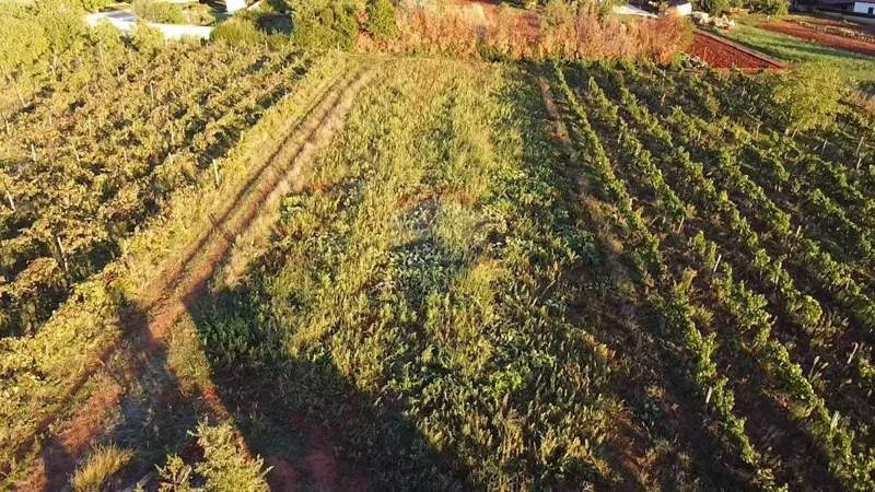 Земельный участок строительного назначения Kaštelir, Kaštelir-Labinci, 1.500m2 – 3