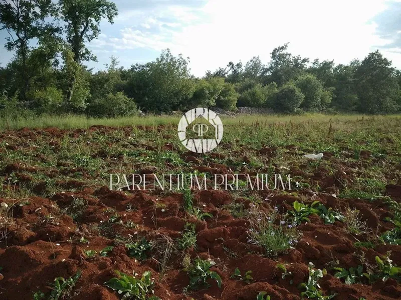 Attractive agricultural land with a house of 76m2 – 2