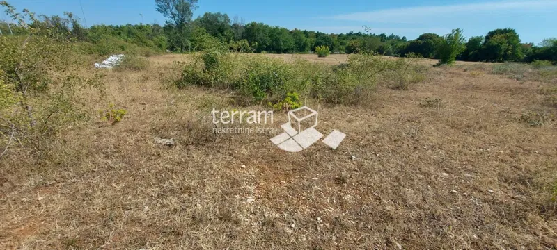 Istria, Kanfanar, Mrgani, terreno edificabile 8600m2, infrastruttura – 2