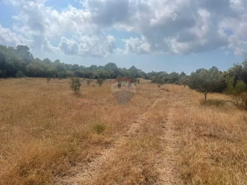 Non-structural plot Bale, 5.440m2 – 2