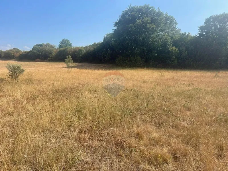 Non-structural plot Bale, 5.440m2 – 3