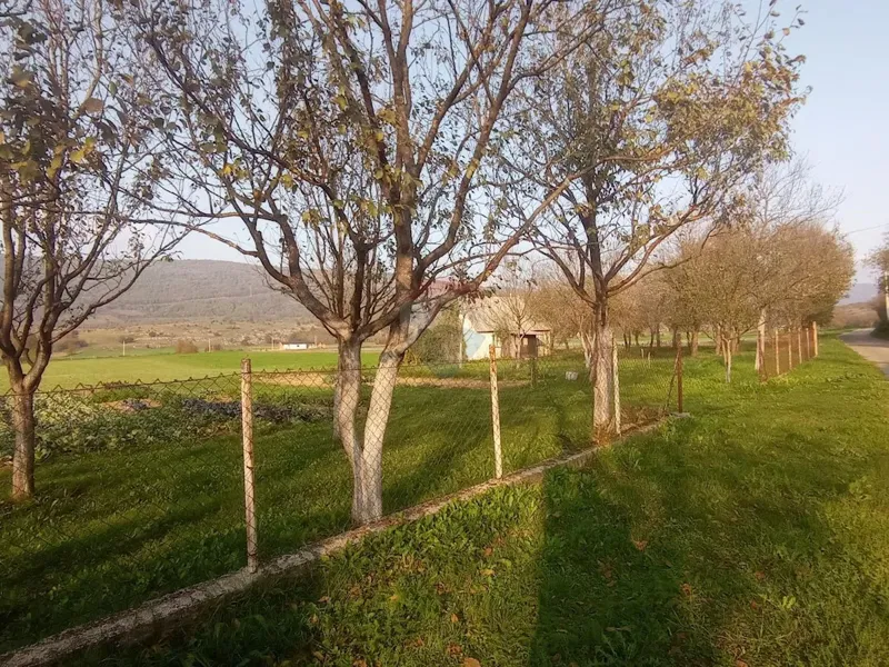 House Brlog, Otočac, 31m2 – 2
