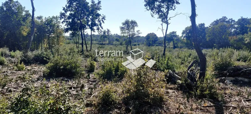 Telek Bale – 3