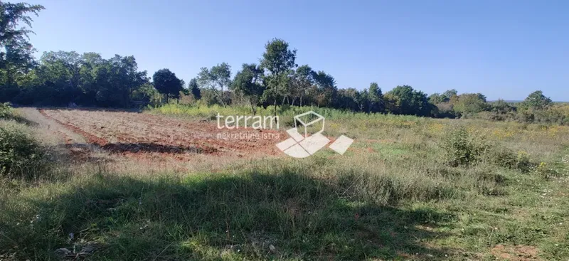 Istria, Valle, terreno agricolo 9865m2, POSIZIONE TOP, vendita – 2