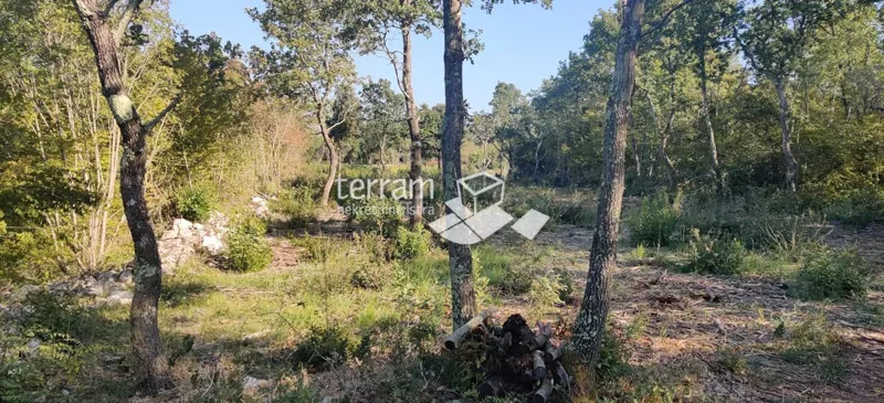 Istria, Valle, terreno agricolo 9865m2, POSIZIONE TOP, vendita – 3