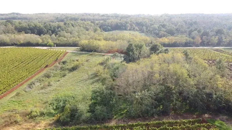 Non-structural plot Vižinada, 8.200m2 – 2