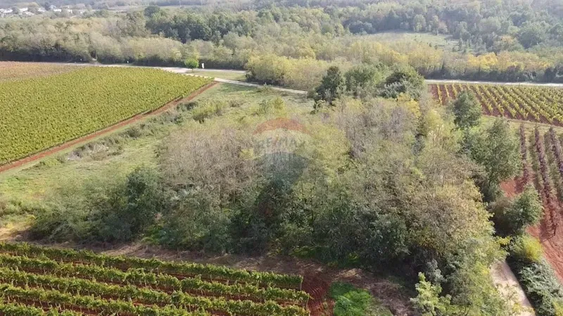 Non-structural plot Vižinada, 8.200m2 – 3