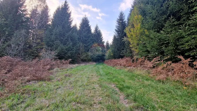 Non-structural plot Gomirje, Vrbovsko, 5.222m2 – 2