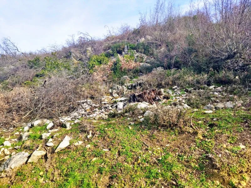 Čižići, građevinsko zemljište, 500 m od mora! – 3