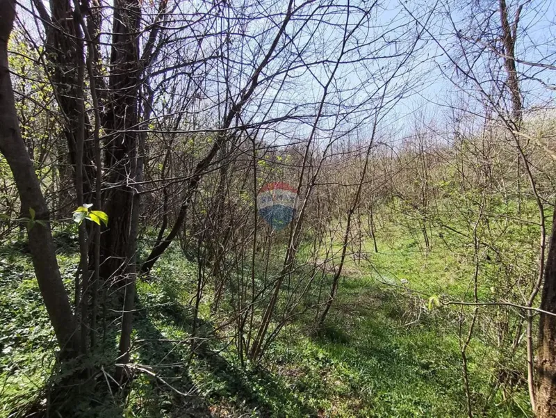 Земельный участок нестроительного назначения Švarča, Karlovac, 990m2 – 3
