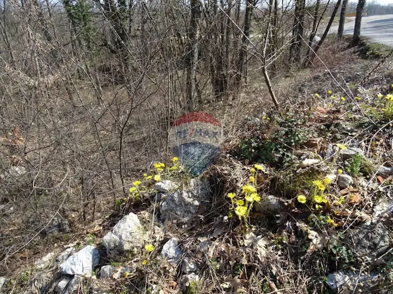 Pozemok Brešca – 3