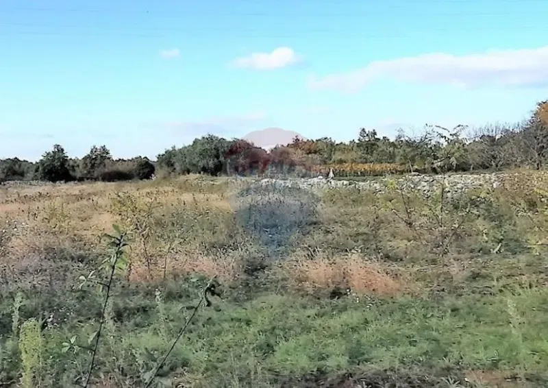 Building plot Salambati, Svetvinčenat, 2.935m2 – 3