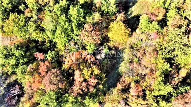 Umag-okolica, vrijedno poljoprivredno zemljište 36 600 m2 – 2
