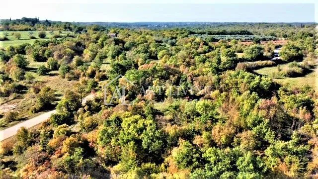 Umag-okolica, vrijedno poljoprivredno zemljište 36 600 m2 – 3