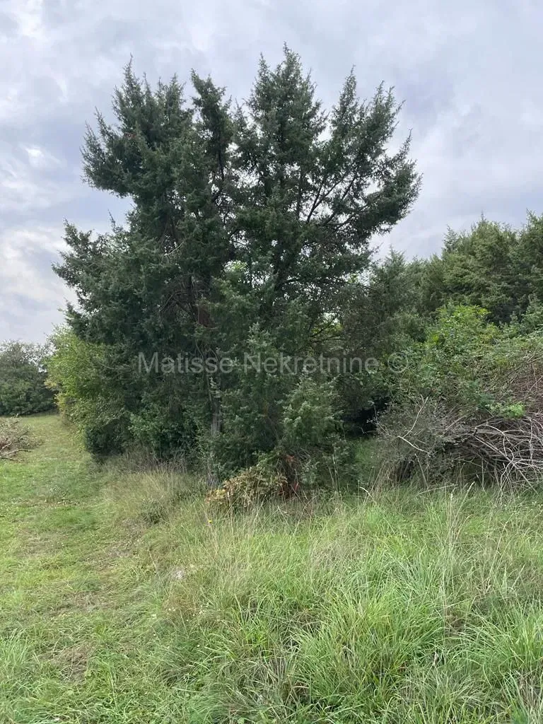 Land Marčana – 3