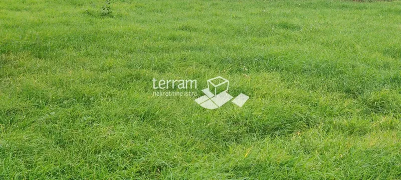 Istria, Marčana, Kavran, building plot 524m2, for sale – 2