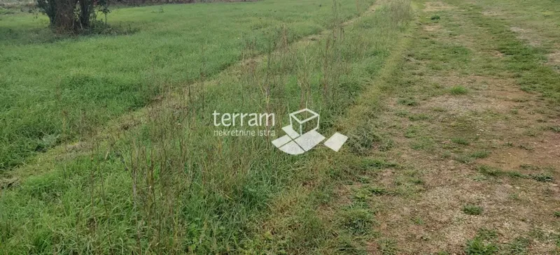 Istria, Marčana, Kavran, building plot 524m2, for sale – 3