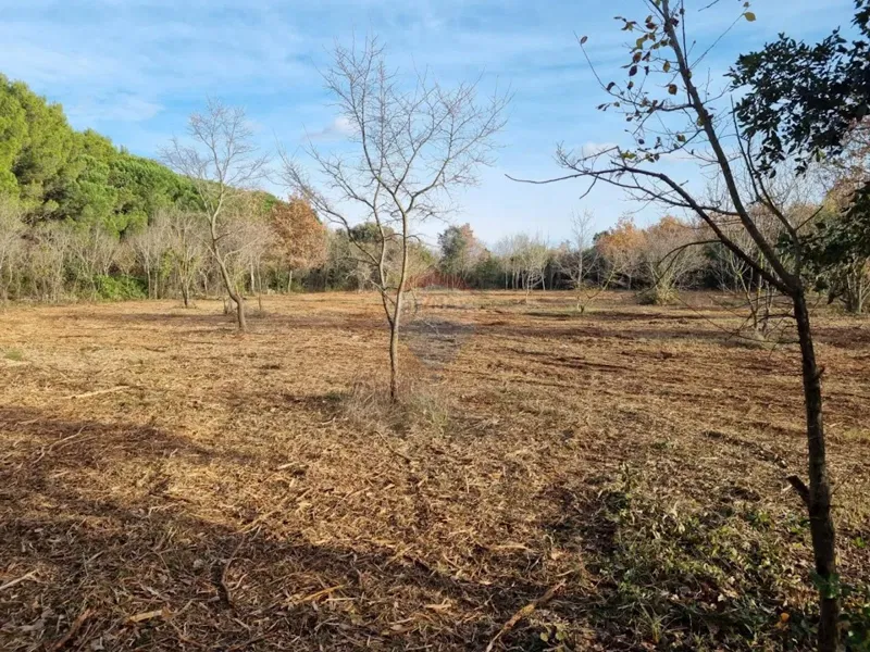 Non-structural plot Rovinj, 6.292m2 – 2
