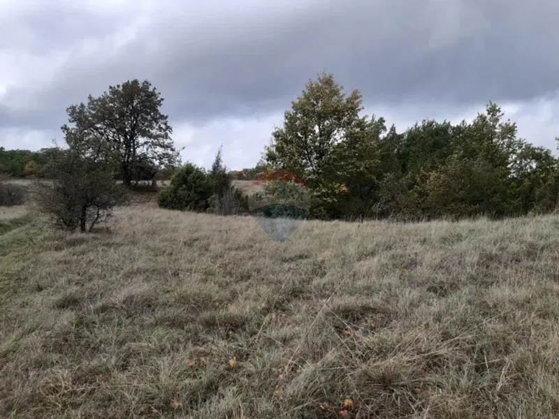Terreno non edificabile Žagrići, Žminj, 24.839m2 – 2