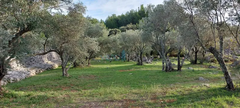 Città di Krk, terreno edificabile a 150 m dal mare per uso turistico-ricettivo, vendita – 2