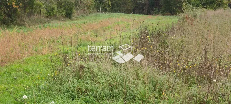 Istria, Barban, building land 3127m2 for sale – 2