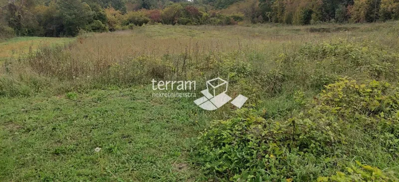 Istria, Barban, building land 3127m2 for sale – 3