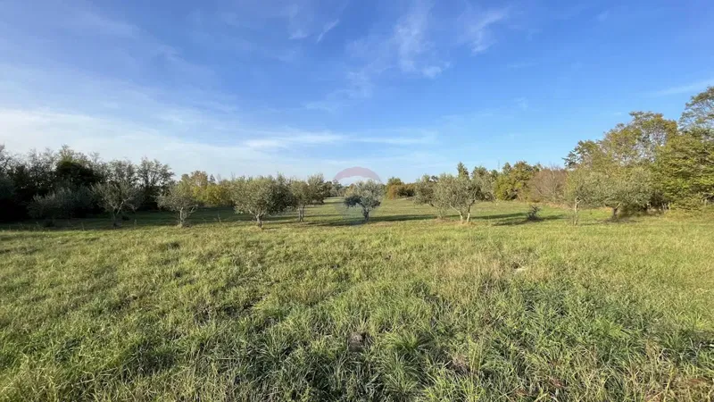 Terreno non edificabile Gradina, Sveti Lovreč, 72.403m2 – 2