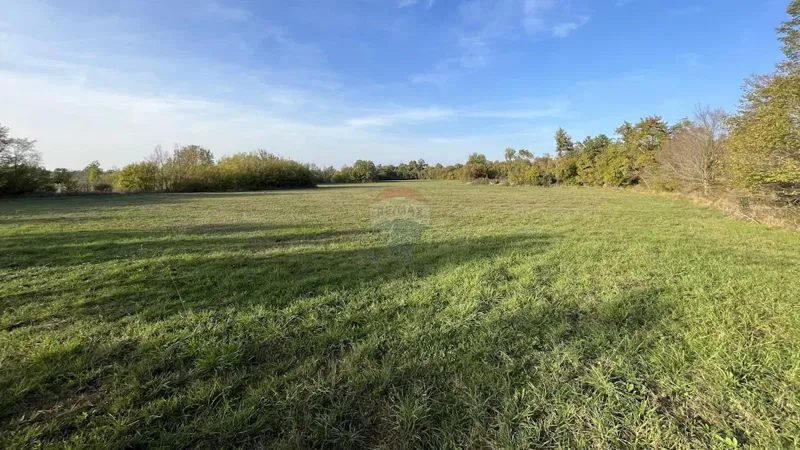 Terreno non edificabile Gradina, Sveti Lovreč, 72.403m2 – 3