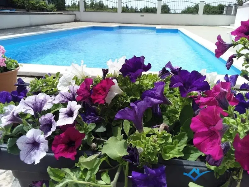 Casa con 6 appartamenti e piscina a Parenzo – 3