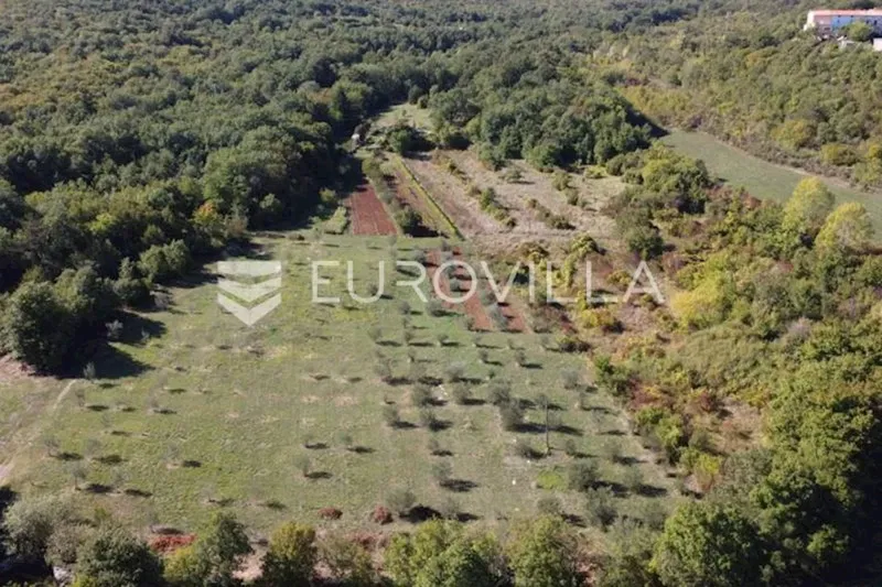Labin surroundings, Old stone house with 27,000 m² of agricultural land, vineyard and orchards – 2