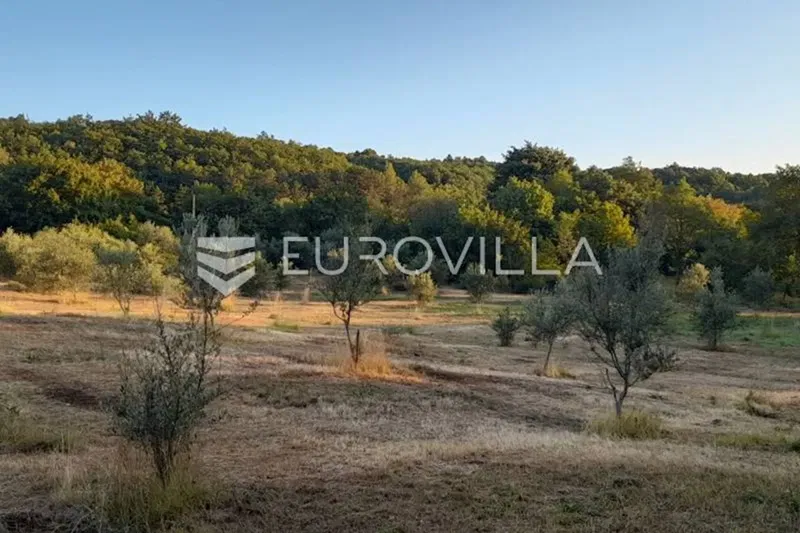 Labin surroundings, Old stone house with 27,000 m² of agricultural land, vineyard and orchards – 3