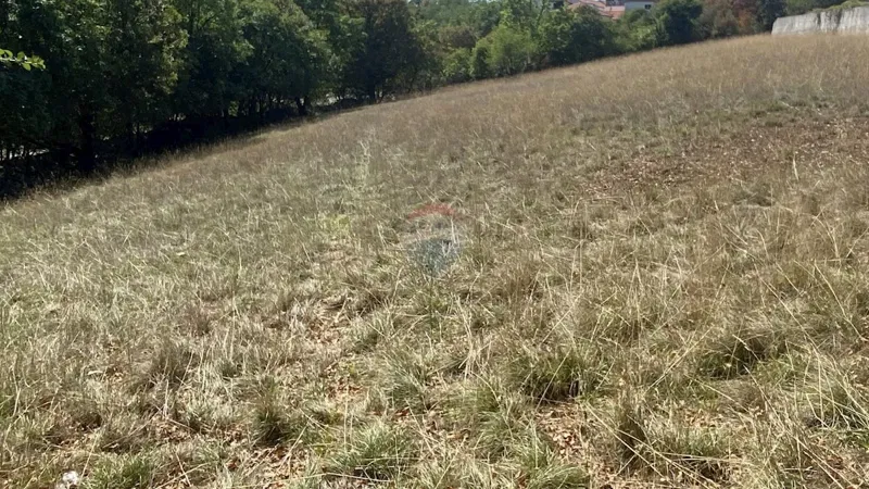 Terreno edificabile Cernik, Čavle, 3.118m2 – 3