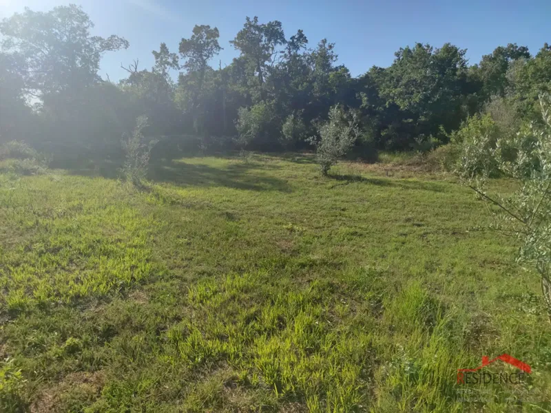 Peroj, agricultural land, water – 3