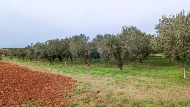 Non-structural plot Busoler, Pula, 6.680m2 – 2