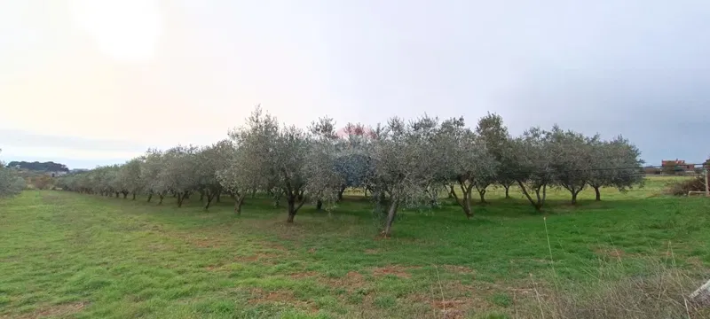 Non-structural plot Busoler, Pula, 6.680m2 – 3